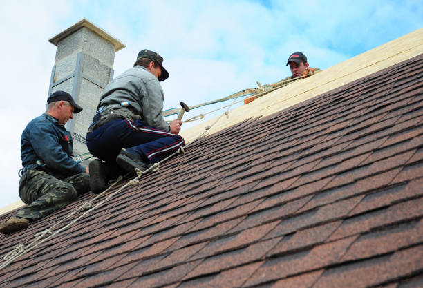 Best Gutter Installation and Roofing  in Brices Creek, NC